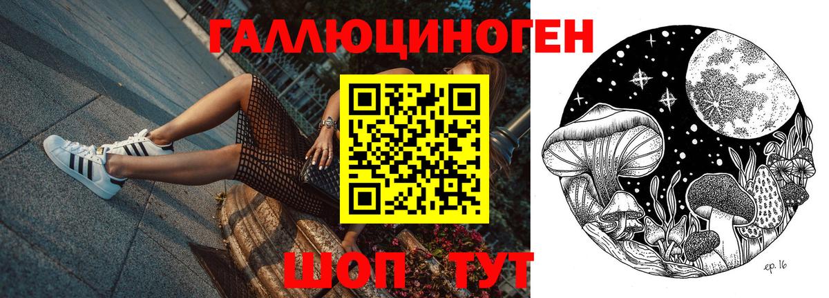 Галлюциногенные грибы ЛСД  Псилоцибиновые грибы мицелий  Ессентуки  Вход с VPN 